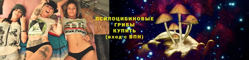 что такое   Богородицк  KRAKEN как зайти  Галлюциногенные грибы Magic Shrooms 